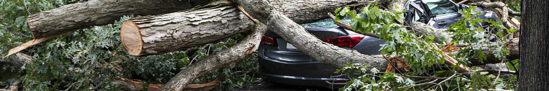 Sturmschäden an Haus & Auto – Welche Versicherung zahlt jetzt?