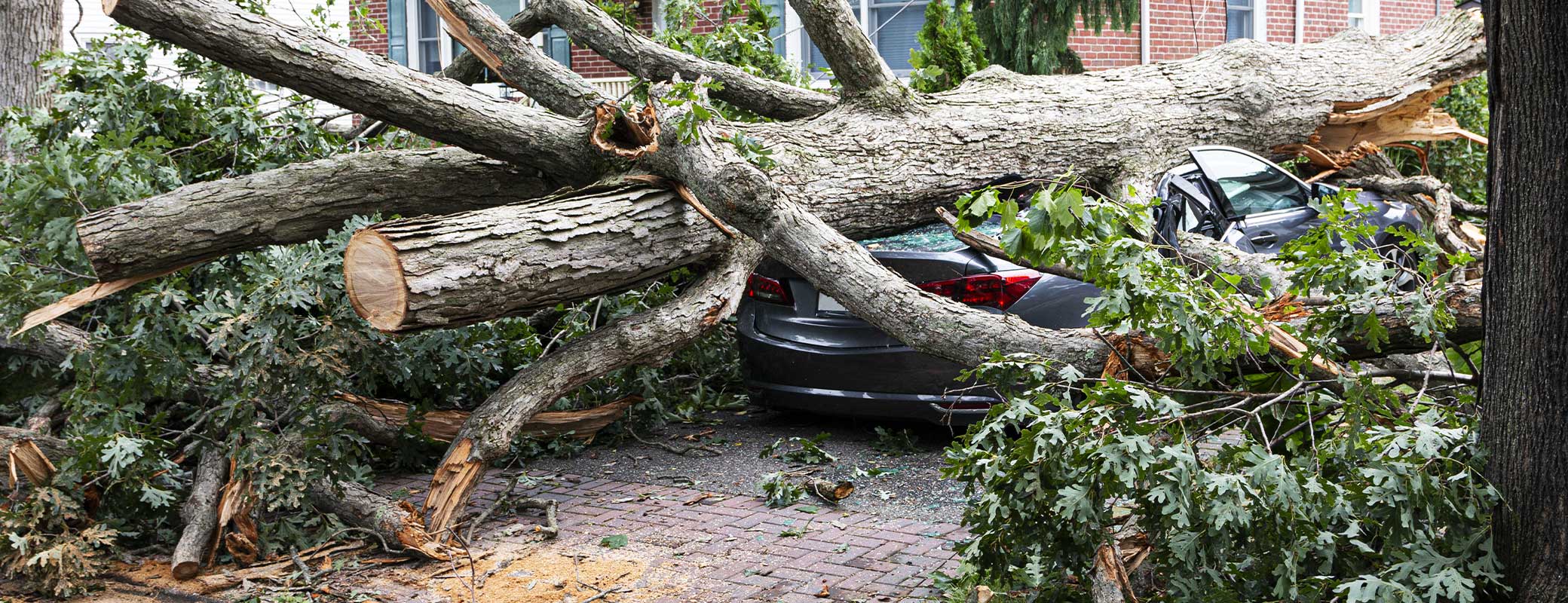 Sturmschäden an Haus & Auto – Welche Versicherung zahlt jetzt?